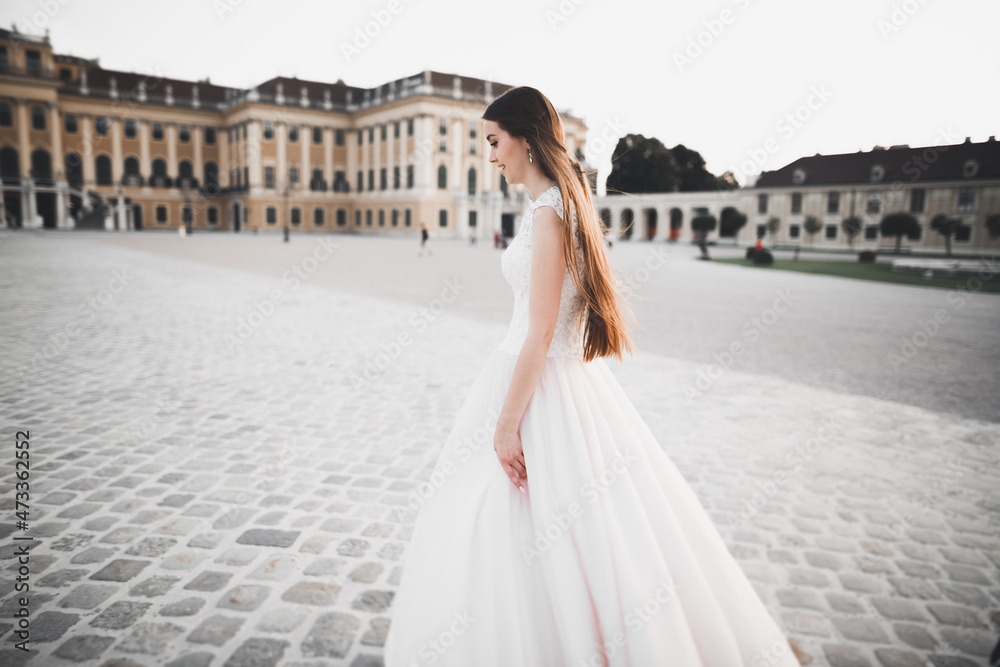 Obraz premium Beautiful luxury bride in elegant white dress