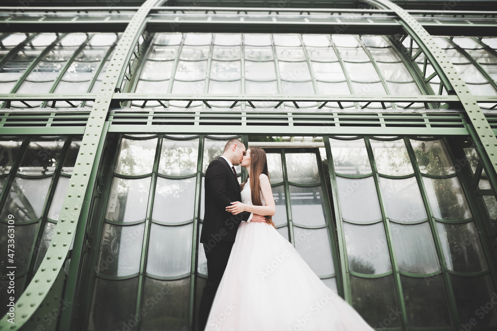 Perfect couple bride, groom posing and kissing in their wedding day Perfect couple bride, groom posing and kissing in their wedding day