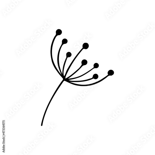 Hand drawn doodle branch with berries. Vector floral silhouette. Graphic design elements. Black and white botanical illustration.