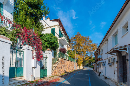 Burgazada Island street view in Istanbul photo