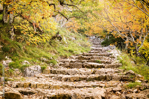 Escalier myst  rieux vers le ciel en pierres naturelles avec marches irr  guli  res   en sous-bois  en automne