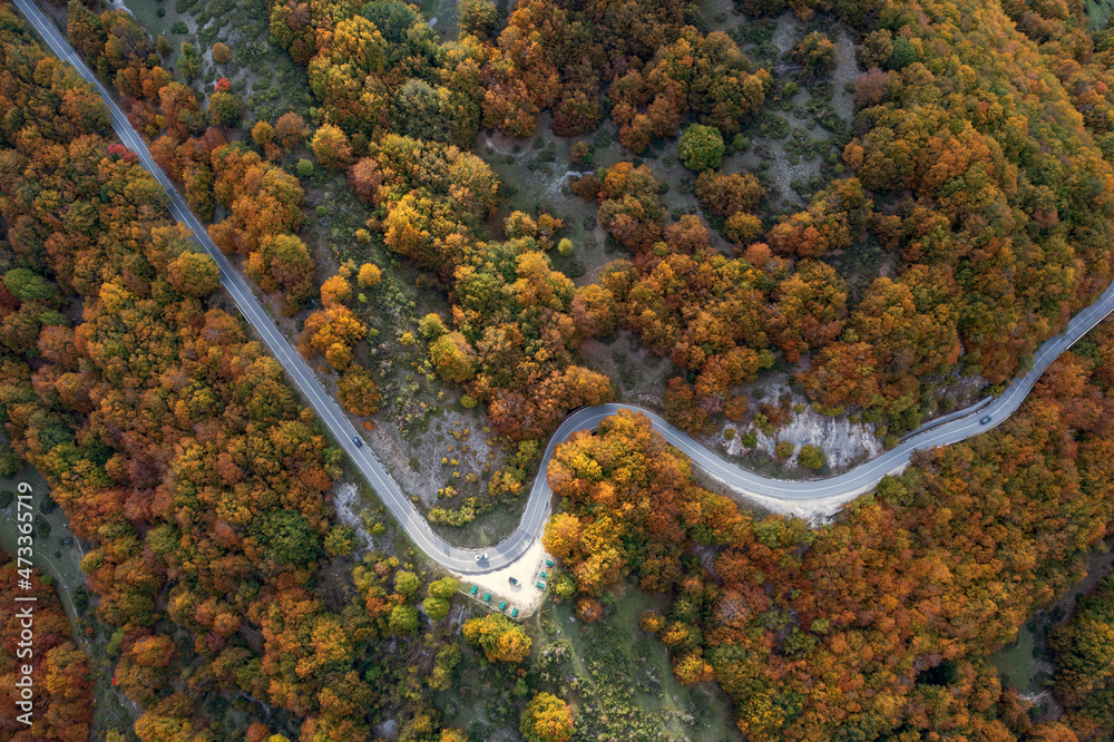 Vista aerea del bosco di Forca d'acero in Abruzzo. Un volo sopra i colori autunnali