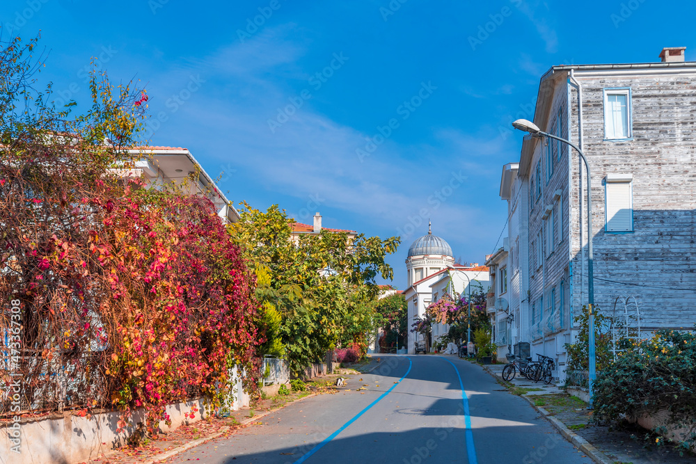 Obraz premium Burgazada Island street view in Istanbul