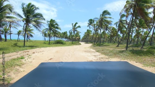 Buggy ride passing by coconut trees on a sandy terrain. Tourist adventure of the brazilian northeast, Maracaipe beach at Ipojuca PE.
