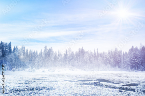 snow-covered field on a forest background, winter background with copy space