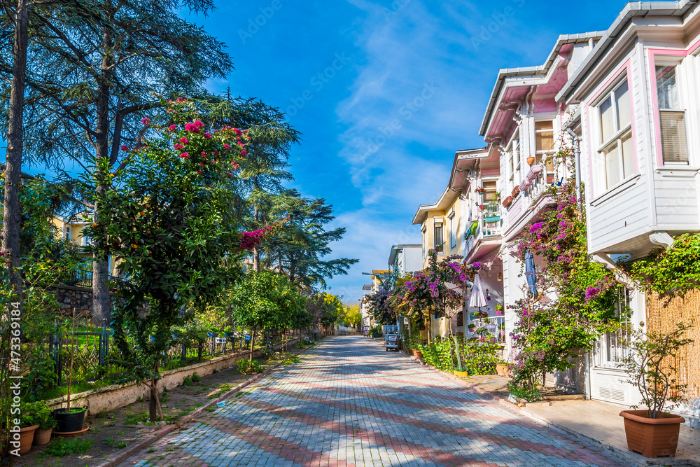 Heybeliada Island street view in Istanbul