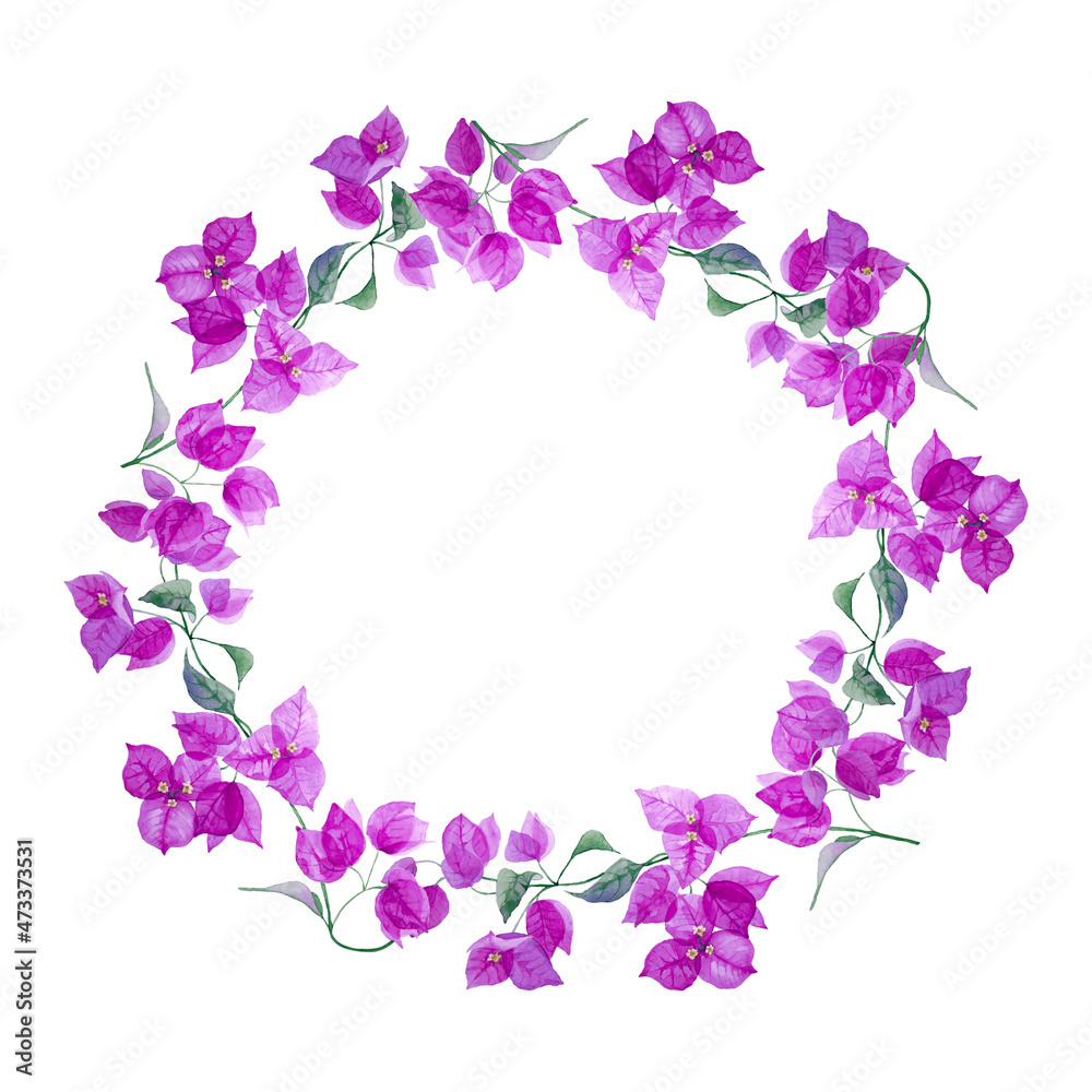 Delicate round wreath of lilac bougainvillea flower. Isolated on white background. Hand drawn watercolor. Copy space