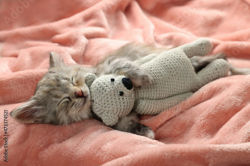Cute kitten sleeping with toy on soft pink blanket
