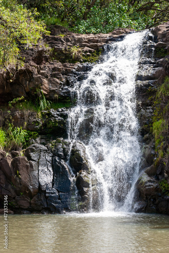 A beautiful rain forest waterfall in Hawaii