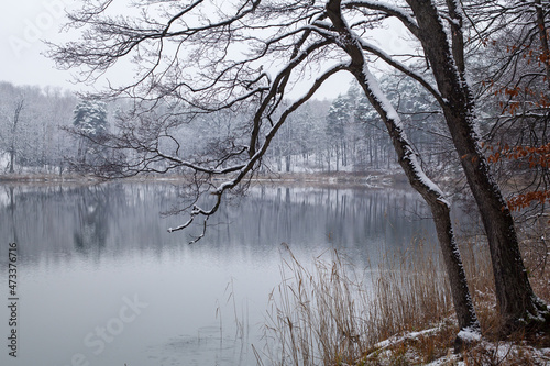 krajobraz zimowy z jeziorem © qrrr
