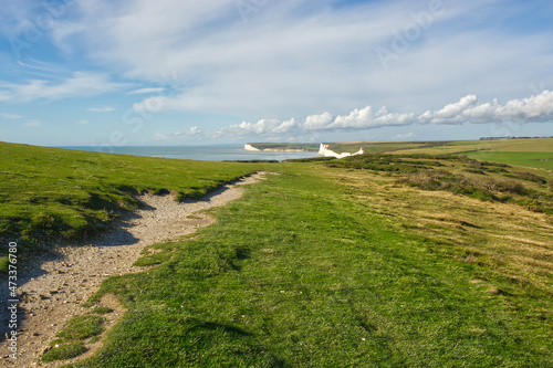 Countryside at Beachy Head, Sussex, England