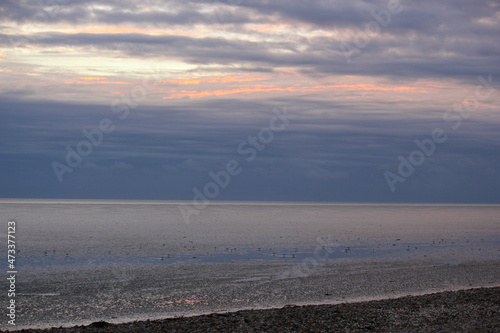 Canvastavla Tranquil coastal landscape with a calm sea meeting a pebble beach beneath a soft pastel sunset sky