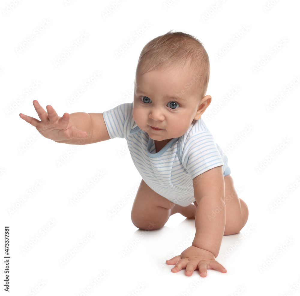 Cute little baby boy crawling on white background Cute little baby boy crawling on white background