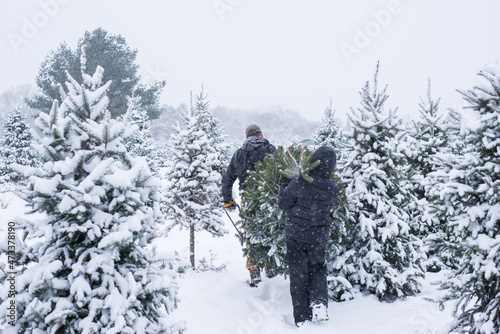 Cutting down a fresh Christmas tree