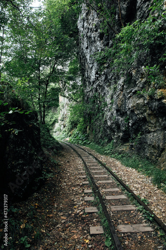 old railway among the rocks in the green forest