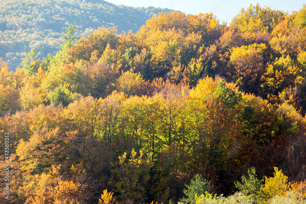 House in the woods in Abruzzo in autumn. Foliage and colors of trees. House in the woods in Abruzzo in autumn. Foliage and colors of trees.