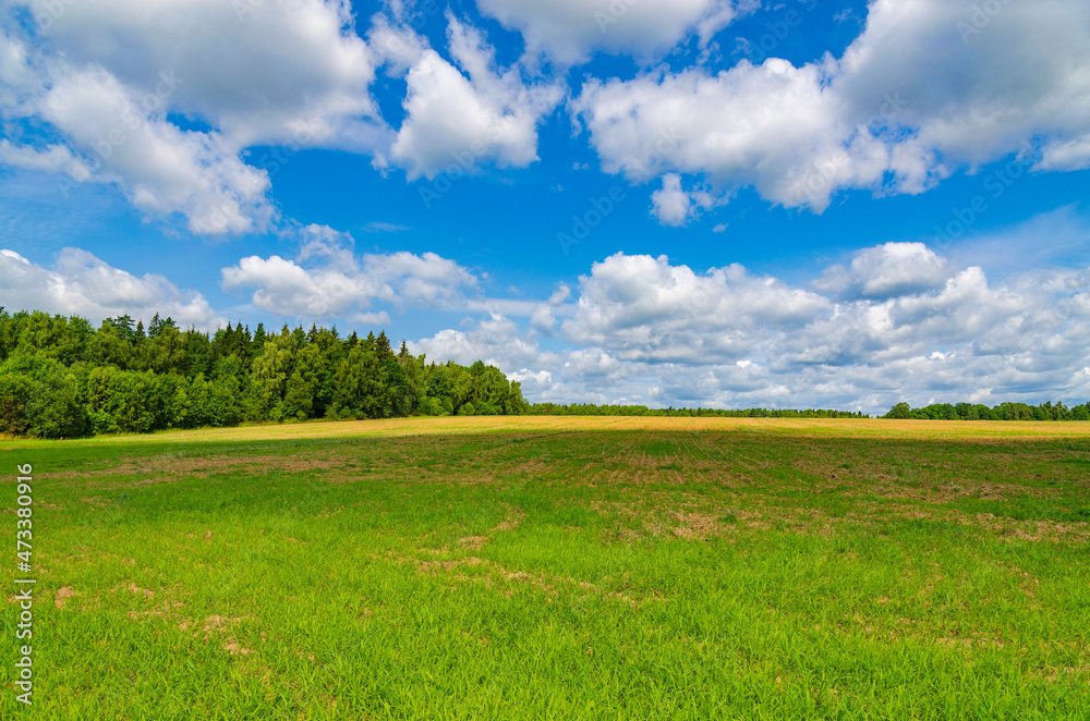 large field with mixed forest in the distance and beautiful clouds on a sunny summer day.