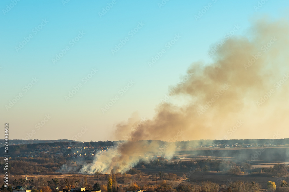 Fire of dry grass in a field outside the city