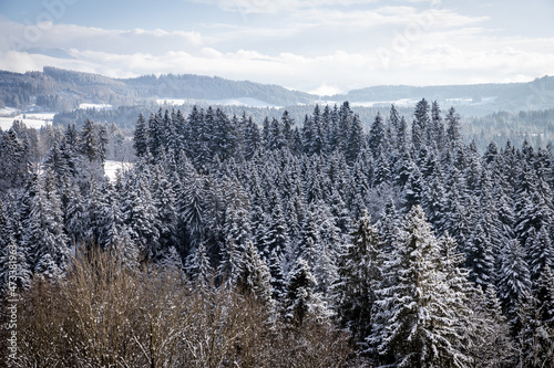 Winter © Nickl Photo