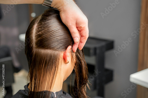 Hairdresser divides female hair into sections with comb holding hair with her hands in hair salon close up
