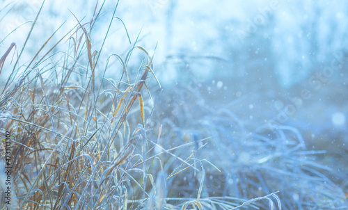 Beautiful winter nature background. snowfall and frozen plants at sunset. © Konstiantyn