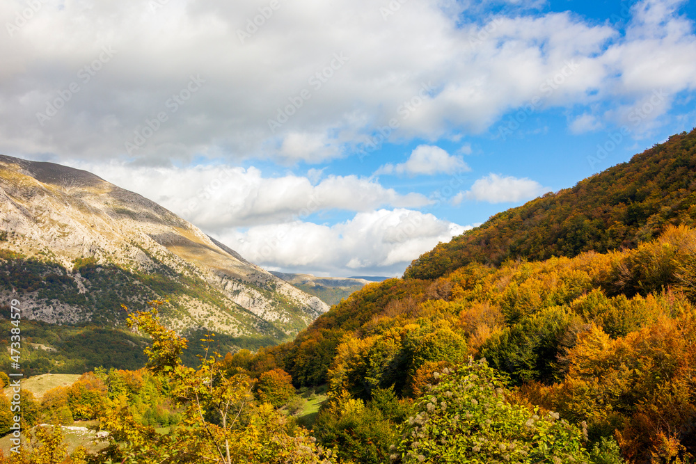 The colors of the forest in autumn. A landscape of trees and woods in the mountains in Abruzzo.