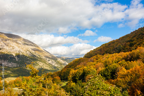 The colors of the forest in autumn. A landscape of trees and woods in the mountains in Abruzzo.