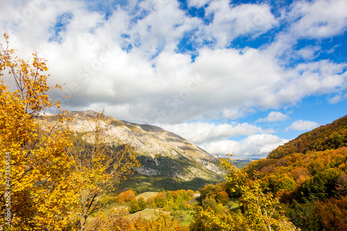 The colors of the forest in autumn. A landscape of trees and woods in the mountains in Abruzzo. © Claudio Quacquarelli