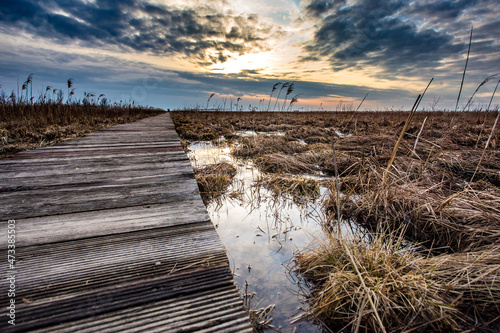 Długa luka, ścieżka przez bagna do punktu widokowego, Biebrzański Park Narodowy photo