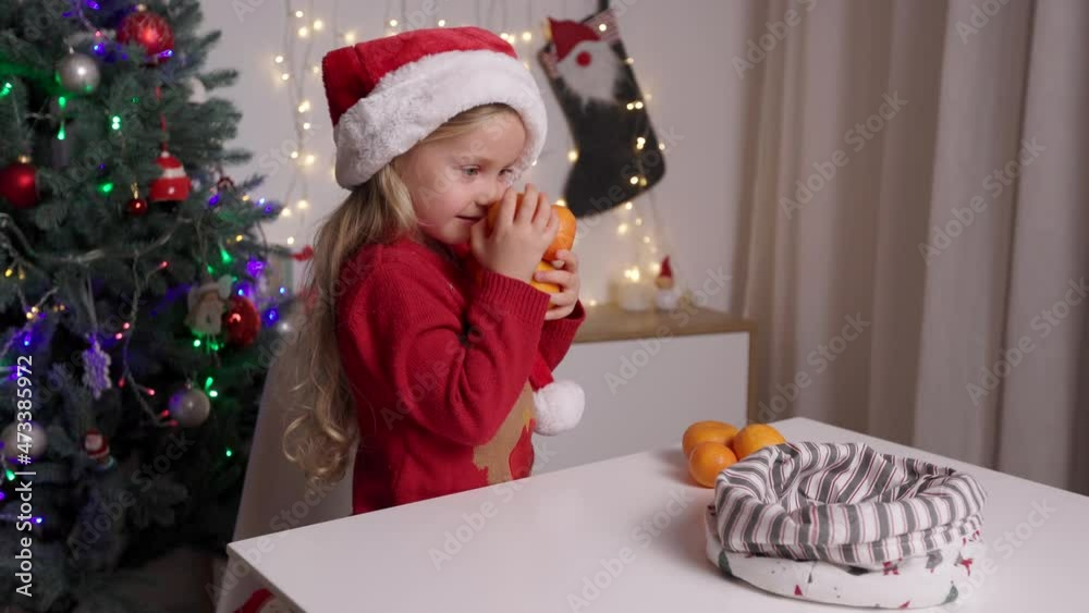 Portrait of funny kid in red santa's hat holding in hands oranges on the background of christmas tree. Happy little girl smiling and having fun on winter holidays at cozy decorated home. Portrait of funny kid in red santa's hat holding in hands oranges on the background of christmas tree. Happy little girl smiling and having fun on winter holidays at cozy decorated home.