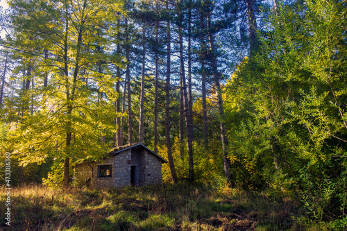 House in the woods in Abruzzo in autumn. Foliage and colors of trees. © Claudio Quacquarelli