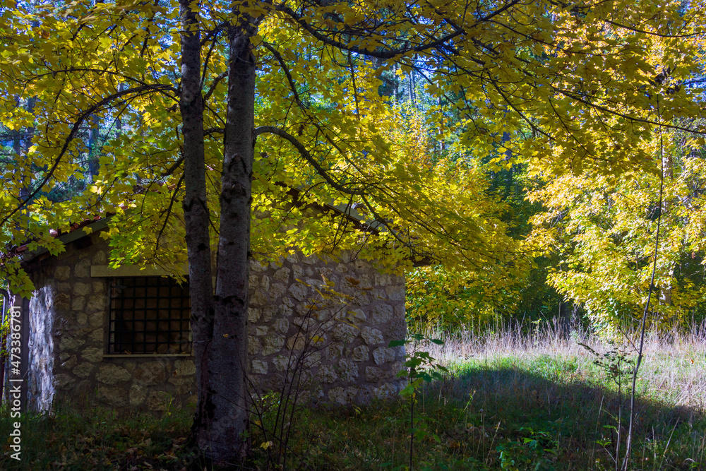 House in the woods in Abruzzo in autumn. Foliage and colors of trees.