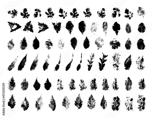 Collection of traced leaves. Black prints of foliage. Vector design elements isolated on a white background.