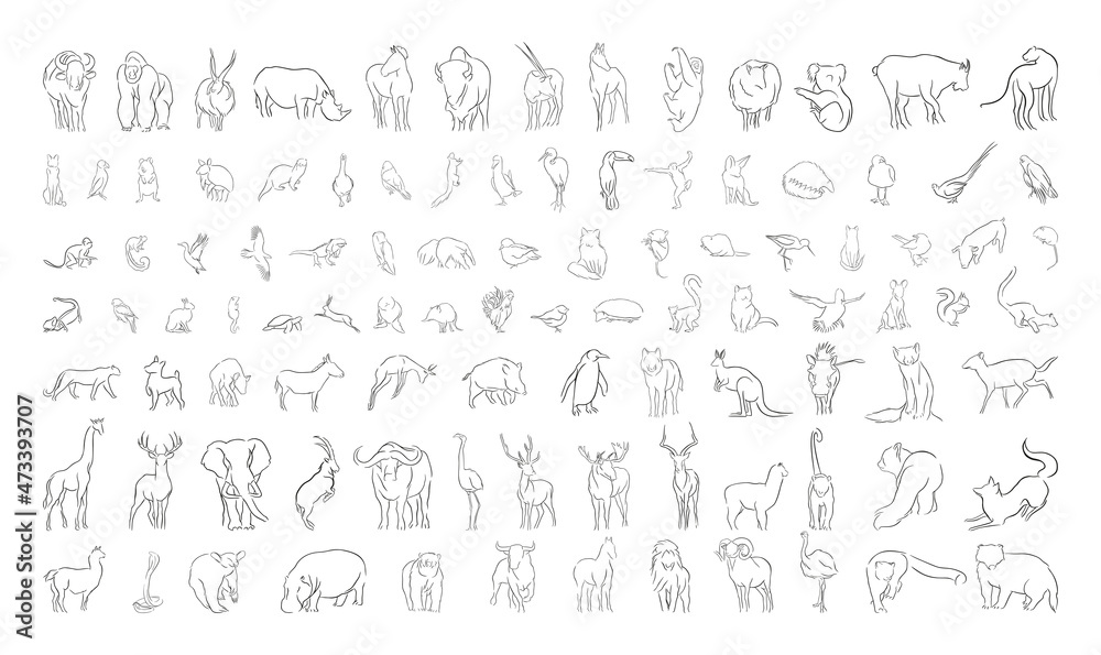 Vector set of animals in a linear style. Illustrations for creating coloring pages, prints.