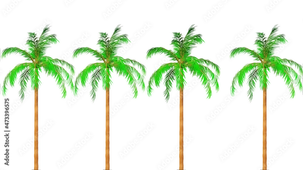 Obraz premium Queen Palm Botanical 3D Rendering