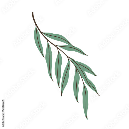 Willow branch. Illustration of green twig with leaves. Flat vector illustration.