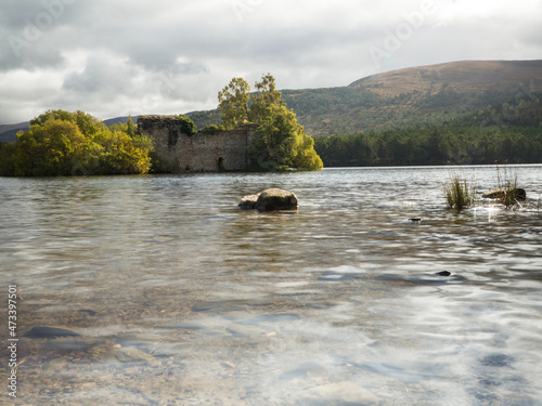 Ruin in Rothiemurchus Forest in the Cairngorms Scotland photo