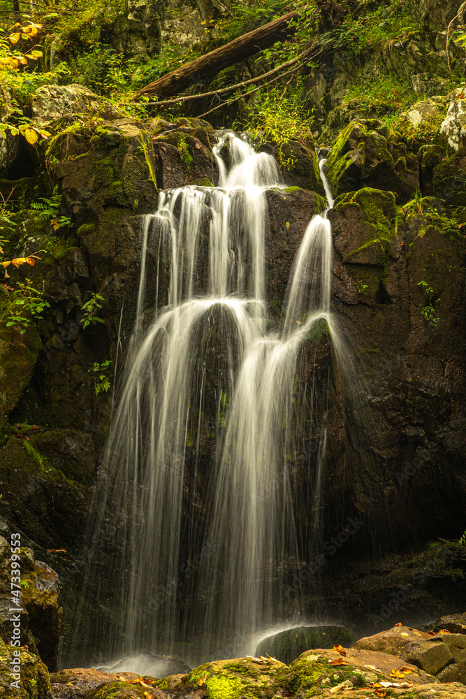 Fototapeta premium Waterfall in Shenandoah