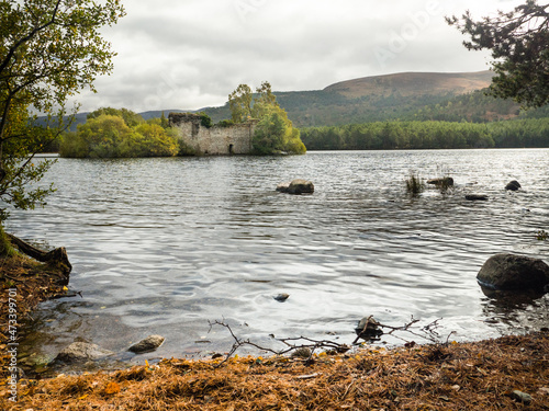 Ruin in Rothiemurchus Forest in the Cairngorms Scotland