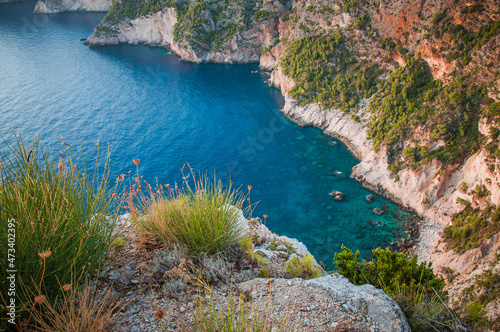 Mediterranean vegetation over the cliffs of the island of Zakynthos, Greece