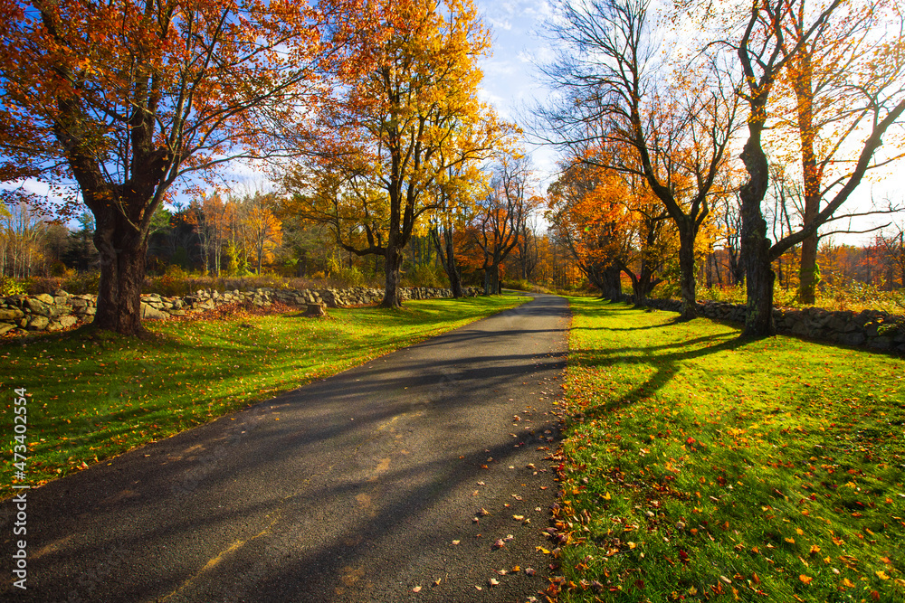 Naklejka premium Beautiful Autumn scenic empty road and leaves in the fall
