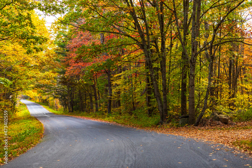 Beautiful Autumn scenic empty road and leaves in the fall