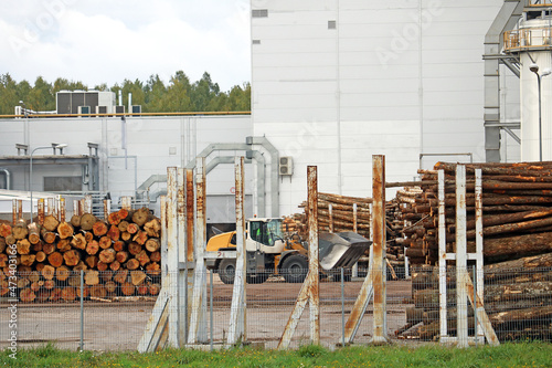 wood processing and production of various types of wood products 