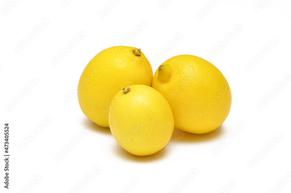 whole ripe lemons close-up isolated on white background whole ripe lemons close-up isolated on white background