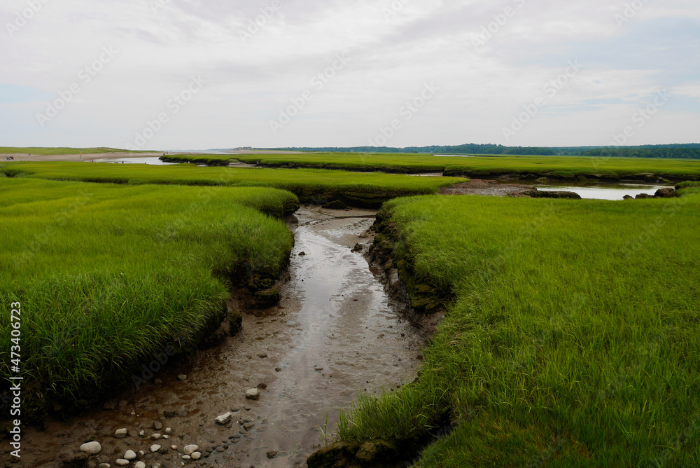 View from the Sandwich Boardwalk, small stream and marsh. View from the Sandwich Boardwalk, small stream and marsh.