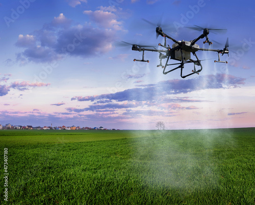agrodron sprays fields of winter wheat on a background of beautiful evening s...