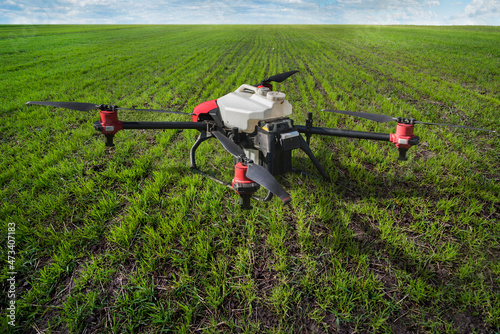 agrodrone at field with rows of winter wheat sprouts, the concept of modern a...