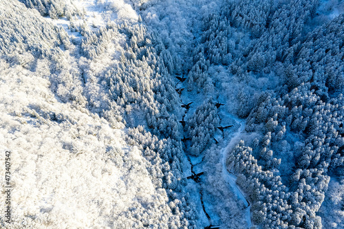 富山県中新川郡上市町と立山町にある大辻山周辺の雪が積もった風景をドローンで撮影 Drone photography of the snow-covered landscape around Mt. Otsuji in Kamiichi-cho and Tateyama-cho, Nakaniikawa-gun, Toyama Prefecture. photo