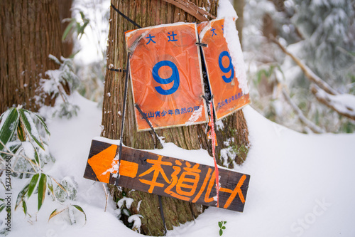 富山県中新川郡上市町と立山町にある大辻山を登山する風景 A view of climbing Mt. Otsuji in Kamiichi-cho and Tateyama-cho, Nakashinagawa-gun, Toyama Prefecture. photo