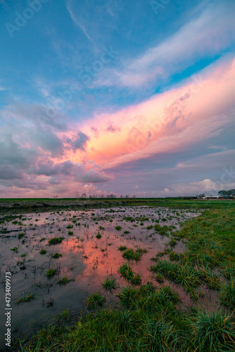 Reflection of pink clouds in a large pool of water in a grassland during sunset.